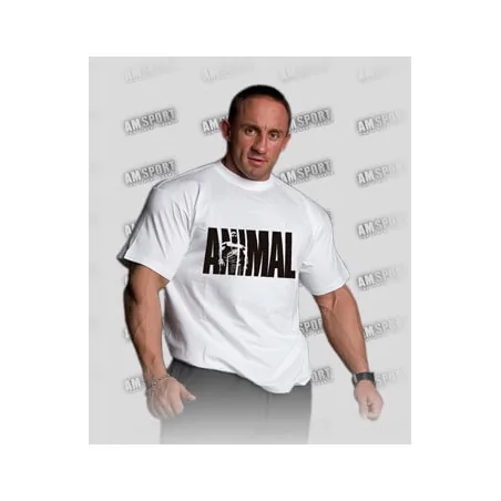 Koszulka Animal z nowym logo