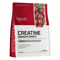 Ostrovit Creatine - 500g