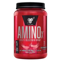 BSN Amino X - 1,01 kg [70 porcji]