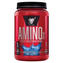 BSN Amino X - 1,01 kg [70 porcji]