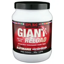 Mr.Big - giant reload 600g